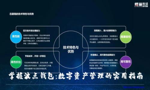 掌握波点钱包：数字资产管理的实用指南