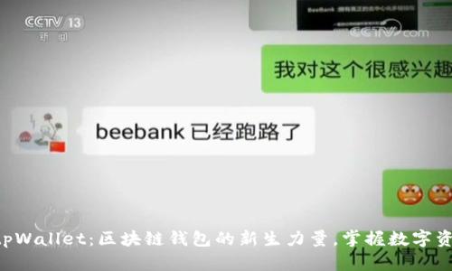 Rev上线tpWallet：区块链钱包的新生力量，掌握数字资产的未来