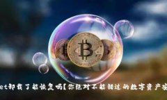 tpWallet卸载了能恢复吗？你绝对不能错过的数字资